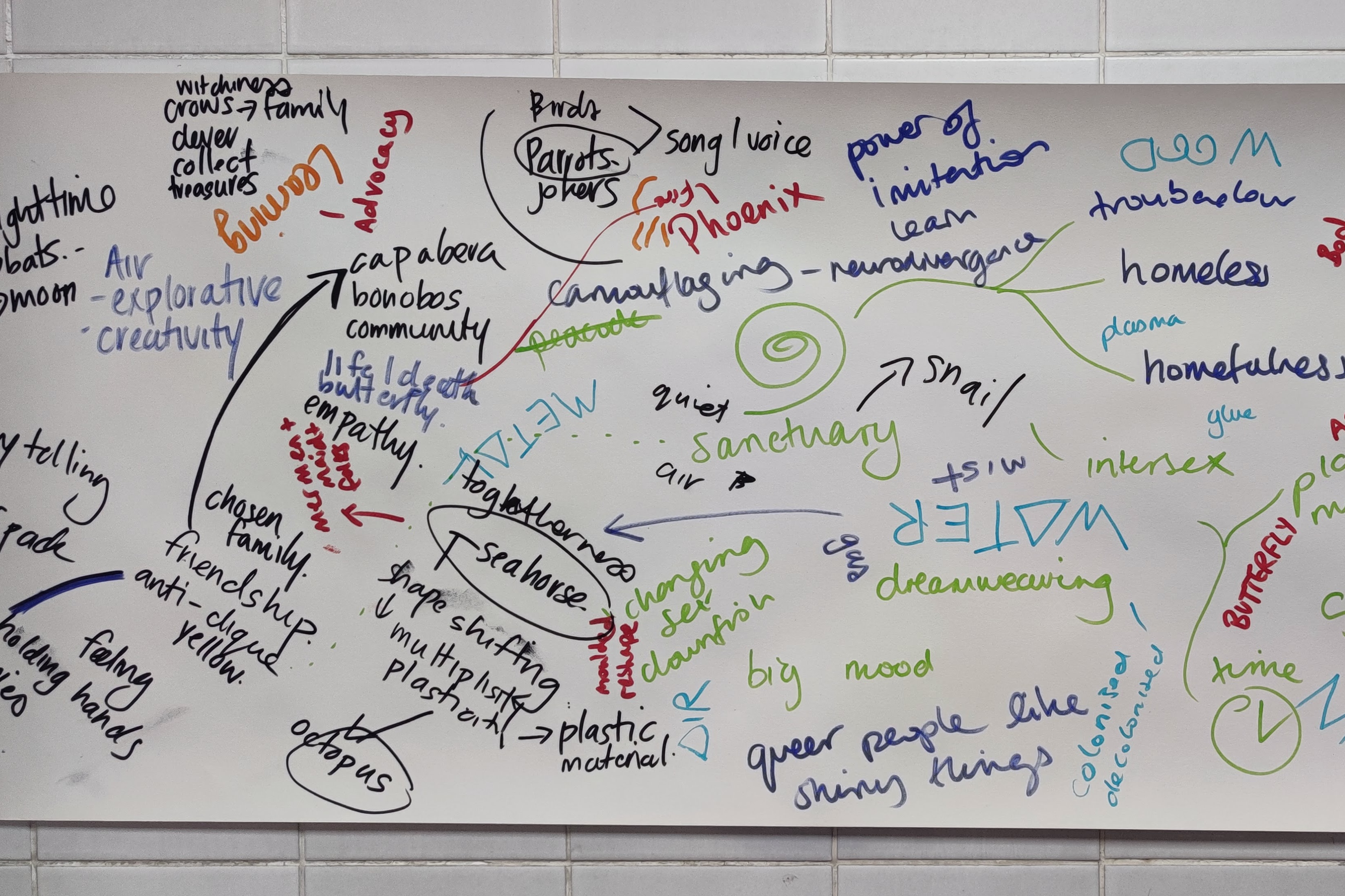 Stalls & Exhibitions